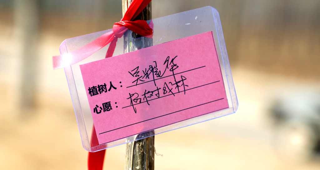 三月春风植树节,LETOU乐投物流科技为天下添绿色!-公司新闻-LETOU乐投智能